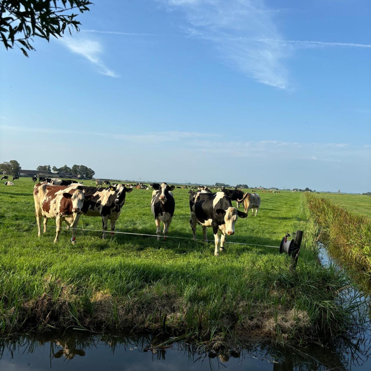 Bed and Breakfast Aan De Hoge Weg à Kamperveen Extérieur photo